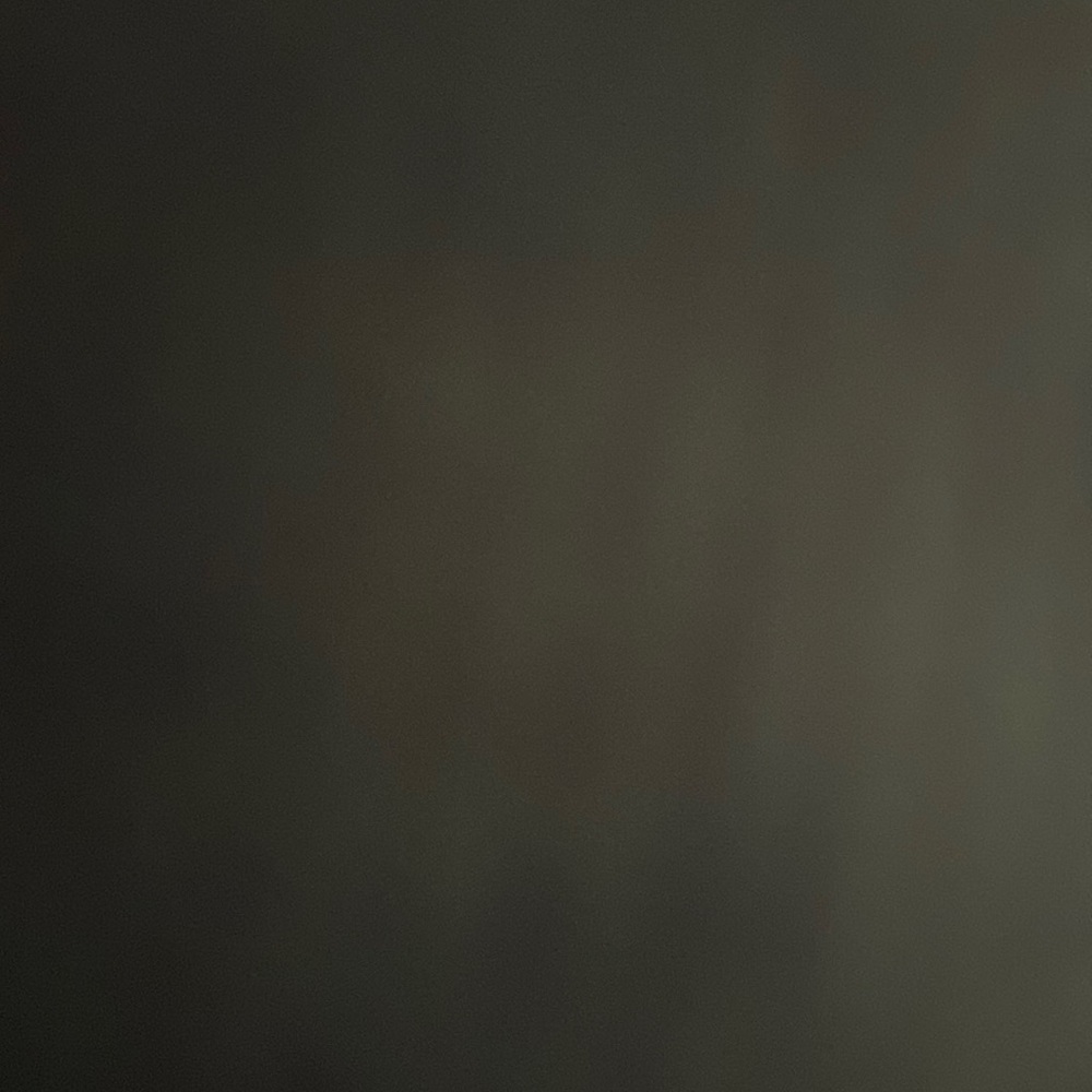 Meet your Posher, Yani